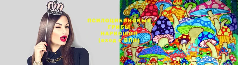 Псилоцибиновые грибы Magic Shrooms  Ипатово 